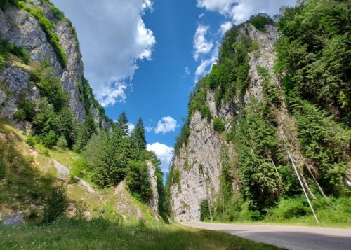 Cheile Dâmbovicioarei Cheile Dâmbovicioarei